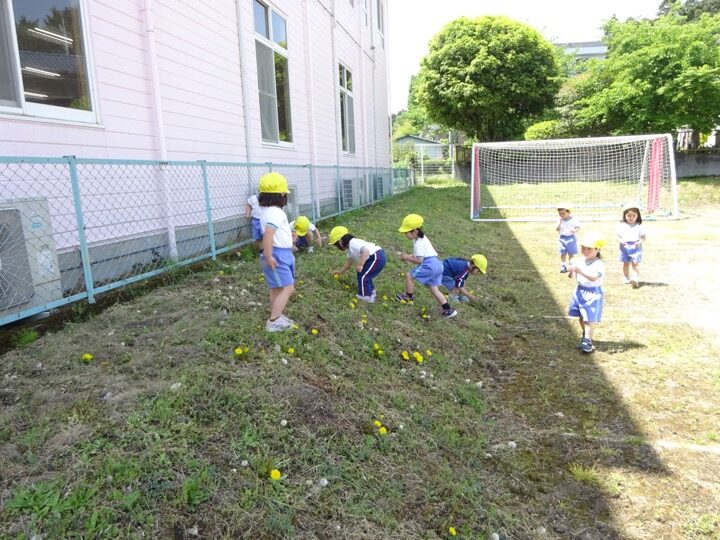 たんぽぽ