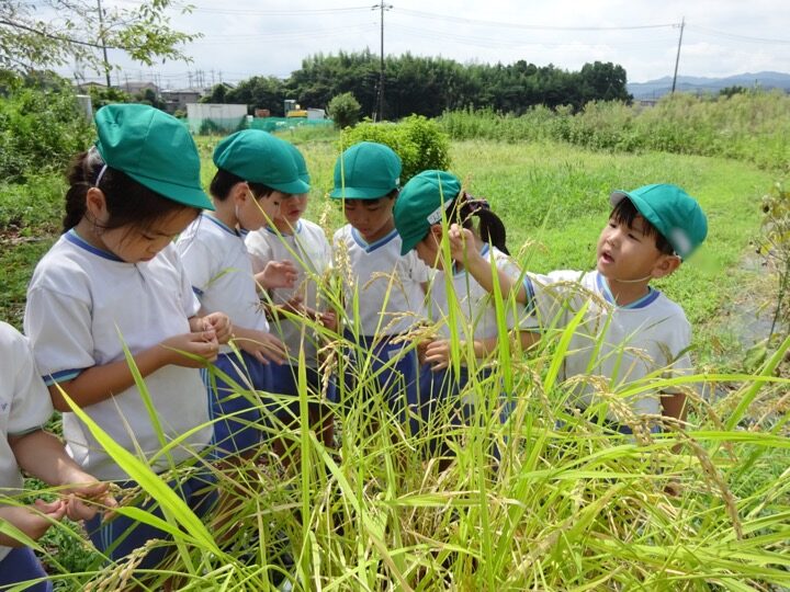 🌾実りの秋🌰