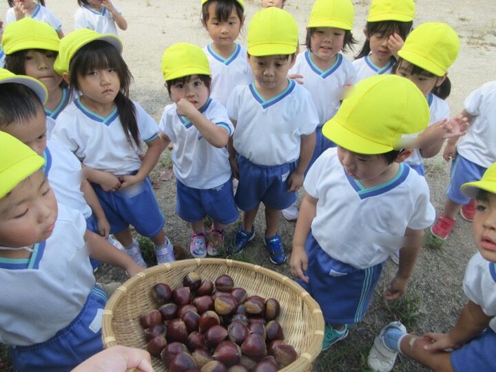 秋が近づいてきたね🌰