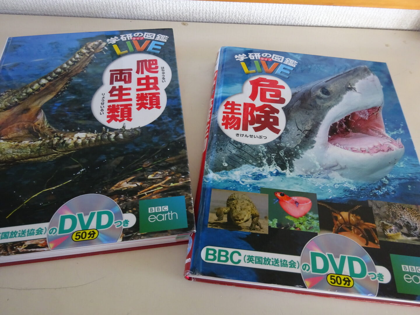 図鑑📚