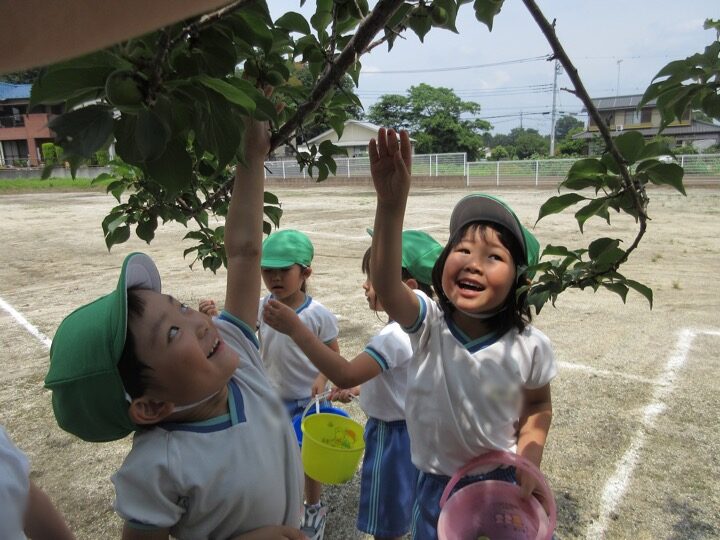うめもぎ