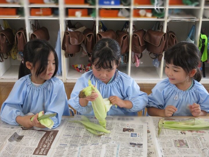 トウモロコシの皮むき