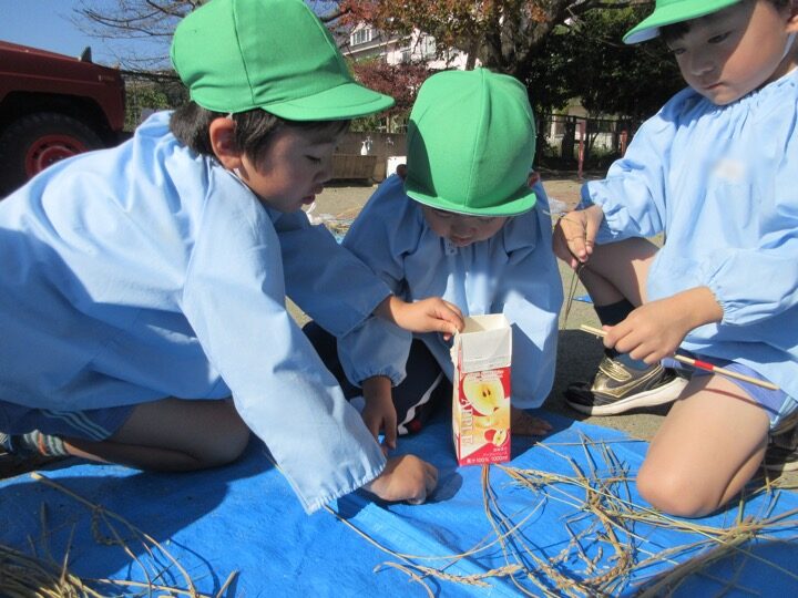 明日はハーベストパーティー